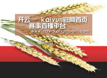 开云 - kaiyun官网首页 - 赛事直播平台