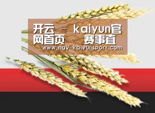 开云 - kaiyun官网首页 - 赛事直播平台